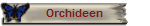Orchideen